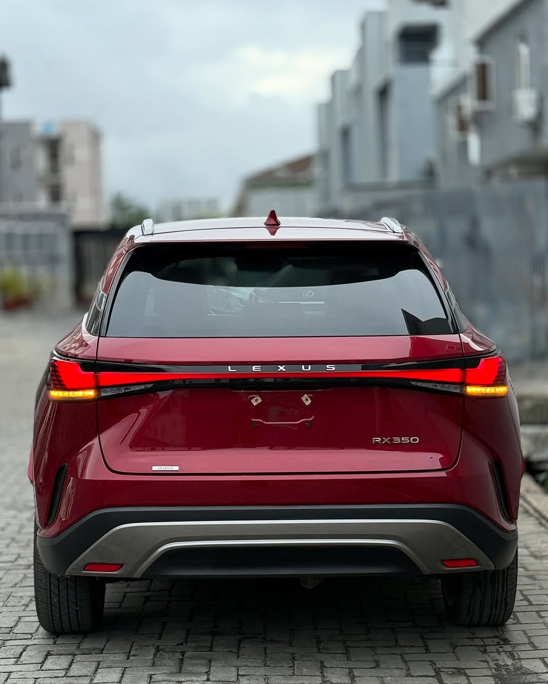 Lexus RX350 - Rear View