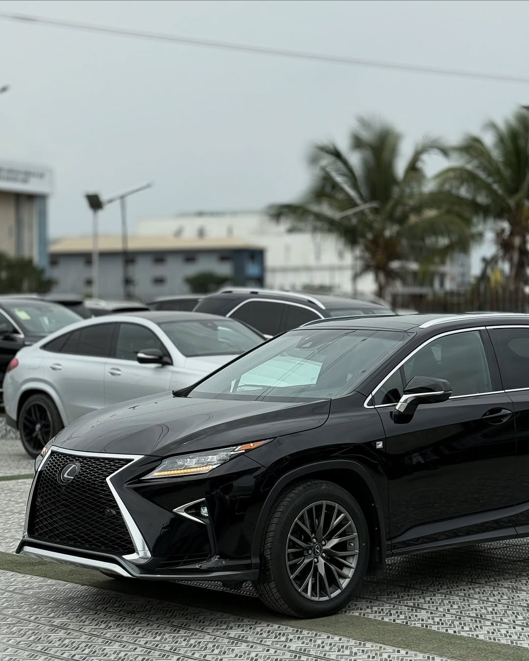 Lexus RX 350 - Side